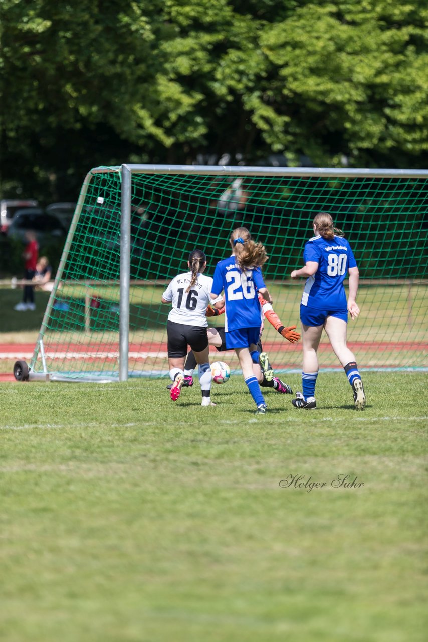 Bild 189 - wBJ VfL Pinneberg - Harksheide : Ergebnis: 2:1